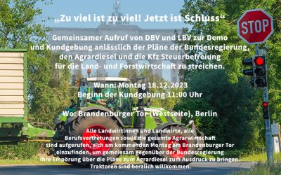Aufruf zur Demo – Berlin