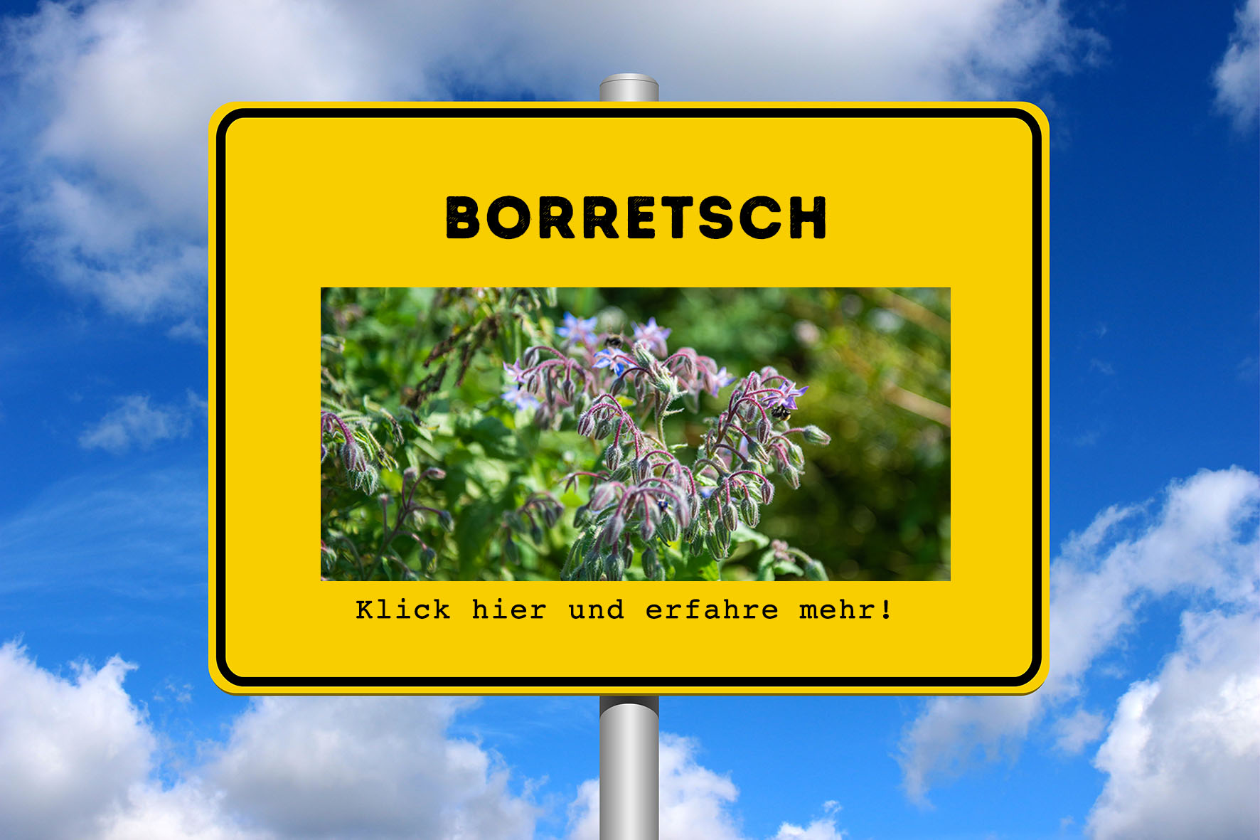 borretsch