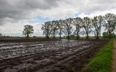 Hochwasser und Landwirtschaft