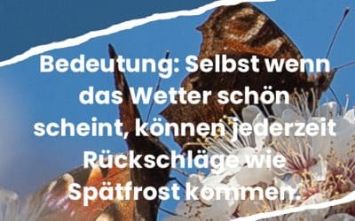 Bauernregel im April II