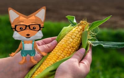 Fibi Füchschen erklärt den Mais