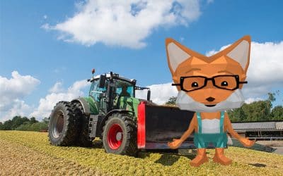 Mais – Das große Quiz mit Fibi