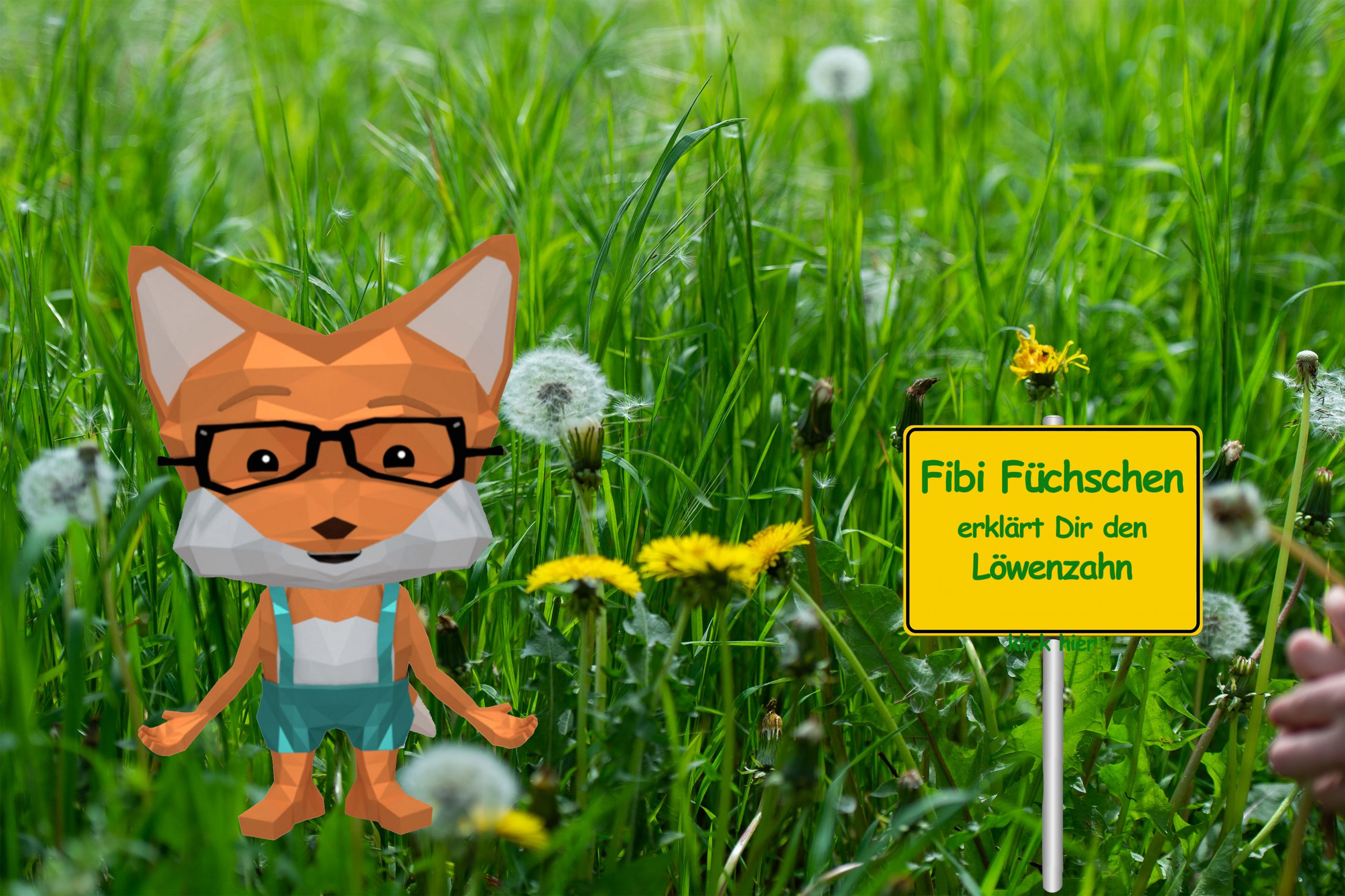 Fibi_Ortsschild_löwenzahn pusteblume