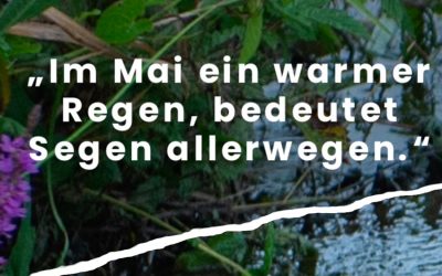 Bauernregel im Mai