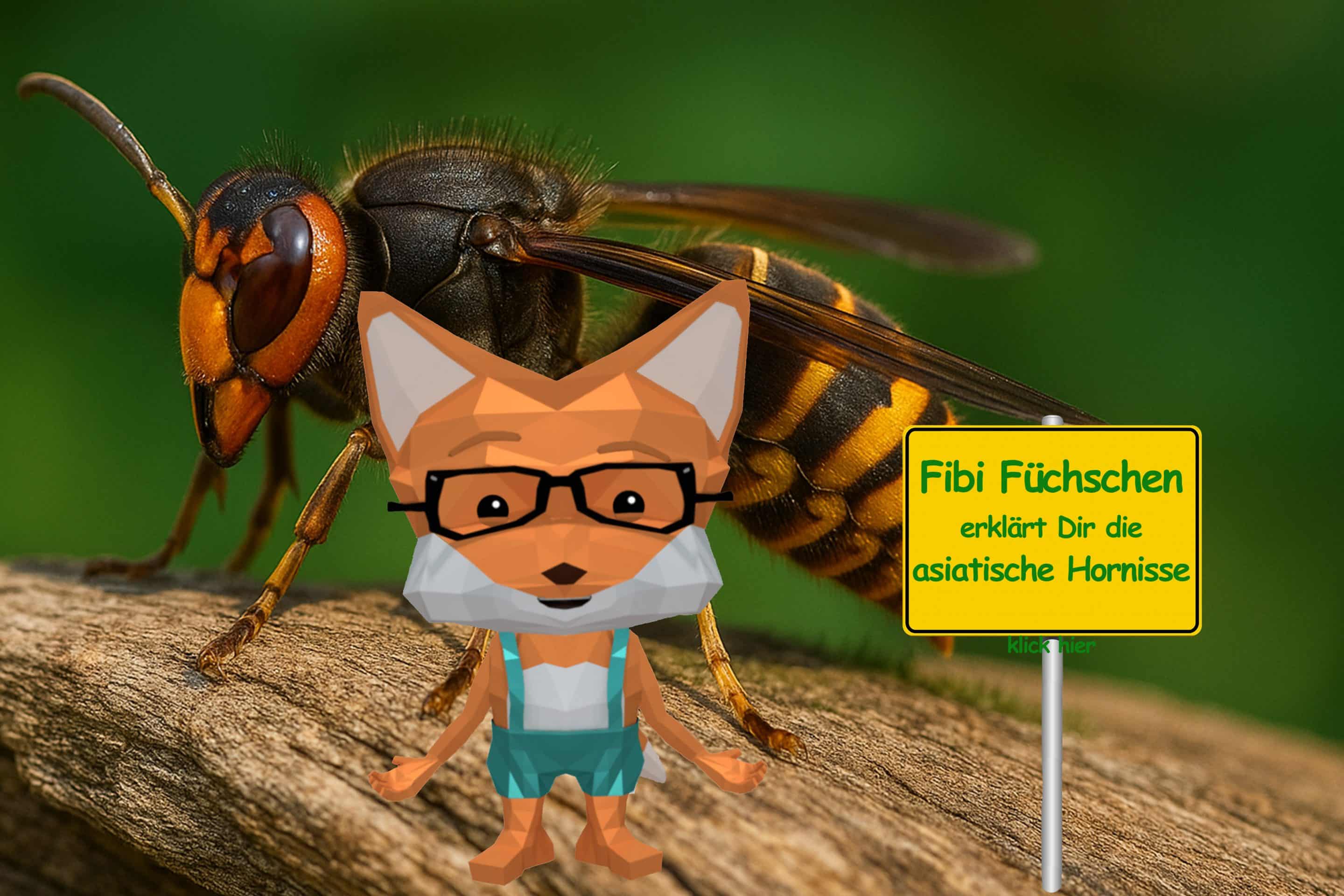 Fibi_Ortsschild_1 Kopie asiatische hornisse