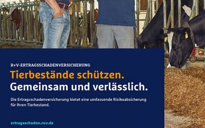 Ertragsschadensvesicherung