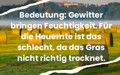 Bauernregel im Juni