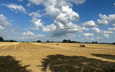 Flächenverbrauch – Ein schleichender Verlust
