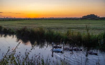 Hebammen auf dem Land – eine unsichtbare Krise