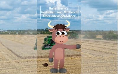 Bulle Bruno über den Überladewagen