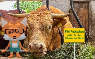 Fibi Füchschen erklärt das Abholen von Tieren