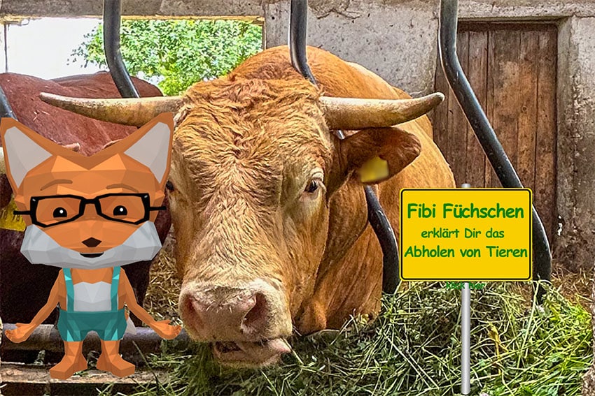 Fibi_Ortsschild_Bulle_2 fibi bulle