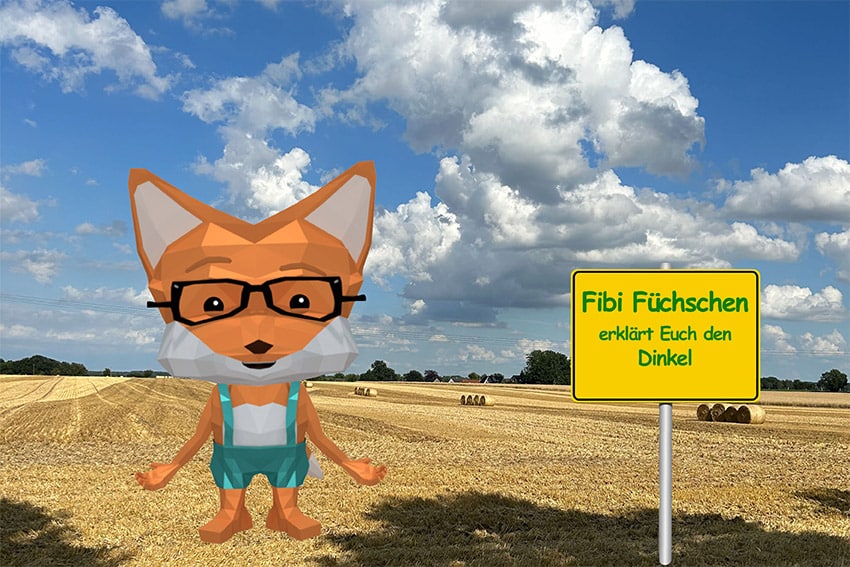 Fibi_Ortsschild_Dinkel Dinkel