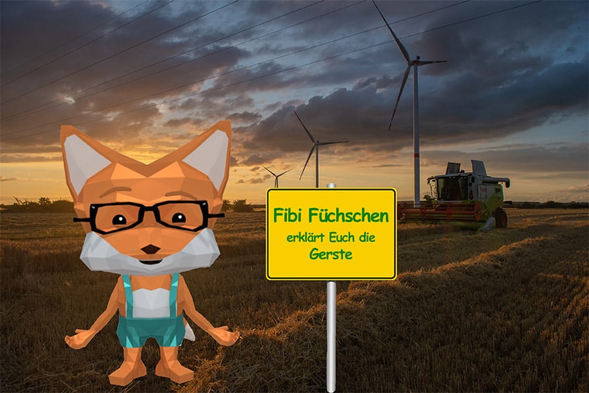 Fibi_Ortsschild_Gerste gerste