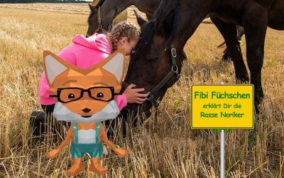 Fibi Füchschen erklärt dir die Noriker