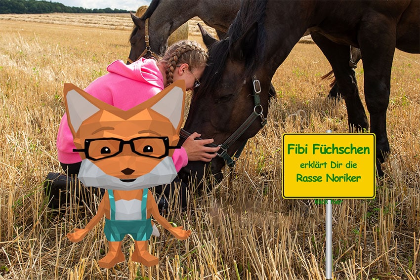 Fibi_Ortsschild_Noriker noriker