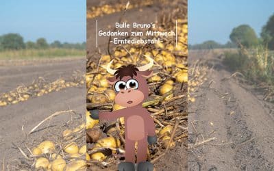 Bulle Bruno erklärt den Erntediebstahl