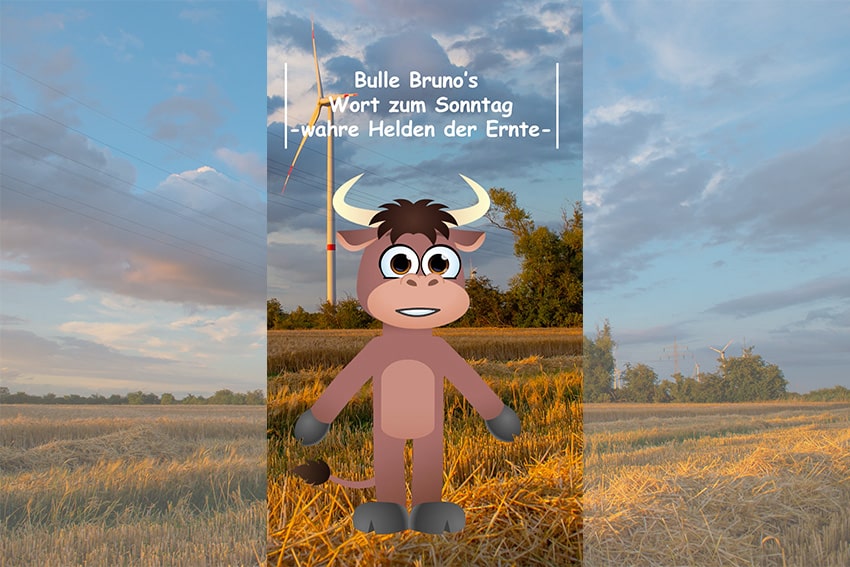 erntehelden