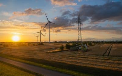 Helden der Erntezeit – systemrelevant und doch unsichtbar
