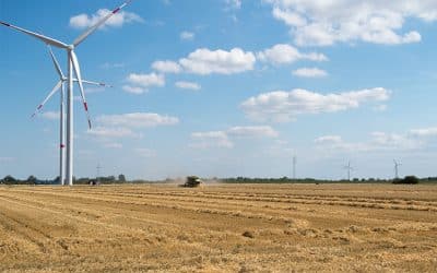 Erntewetter – der Ausnahmezustand beginnt
