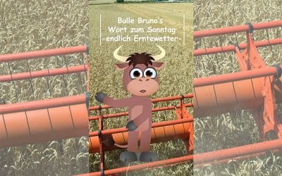 Bulle Bruno erklärt das gute Erntewetter