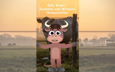 Bulle Bruno über das Reinquatschen