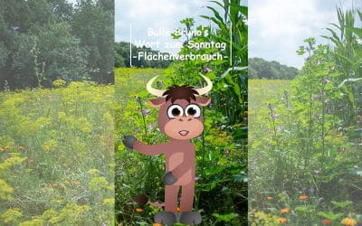 Bulle Bruno über den Flächenverbrauch