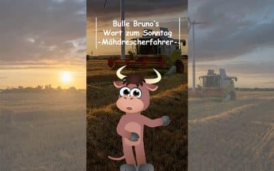 Bulle Bruno über die Mähdrescherfahrer
