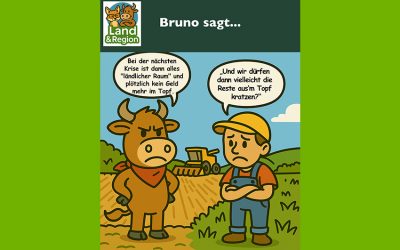 Bruno sagt…