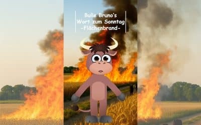 Bulle Bruno, wenn der Acker brennt