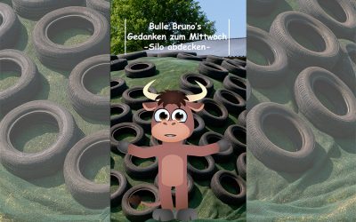 Bulle Bruno über das Siloabdecken