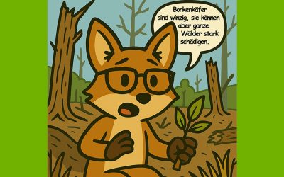 Wälder und der Borkenkäfer