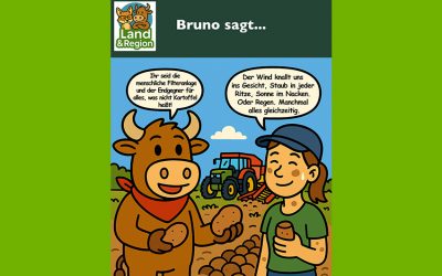 Bruno sagt…
