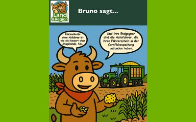 Bruno sagt…