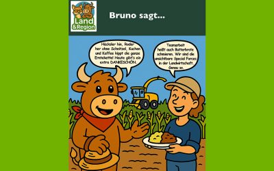 Bruno sagt…