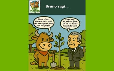 Bruno sagt…