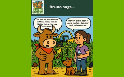 Bruno sagt…