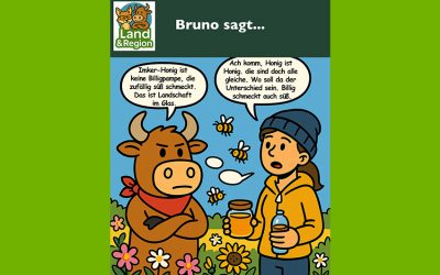 Bruno sagt…