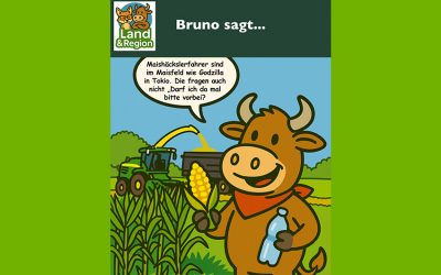 Bruno sagt…