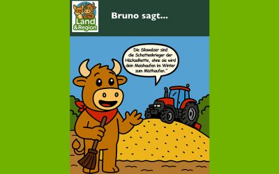 Bruno sagt…