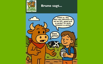 Bruno sagt…