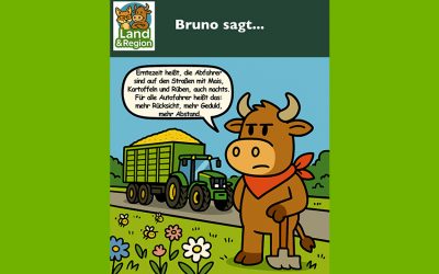 Bruno sagt…