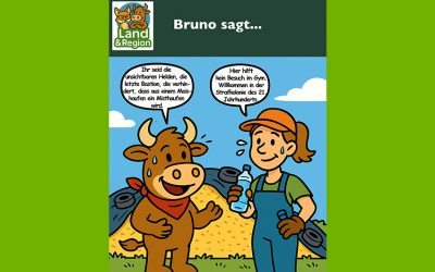 Bruno sagt…