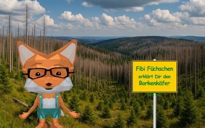 Fibi Füchschen erklärt den Borkenkäfer