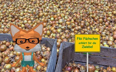 Fibi Füchschen erklärt die Zwiebel