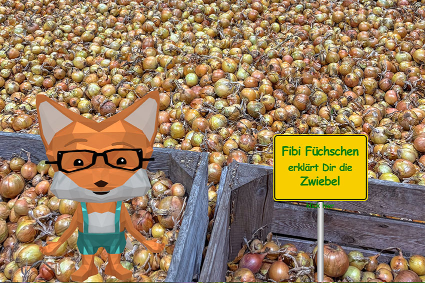 Fibi_Ortsschild_Zwiebel Kopie streuobstwiese