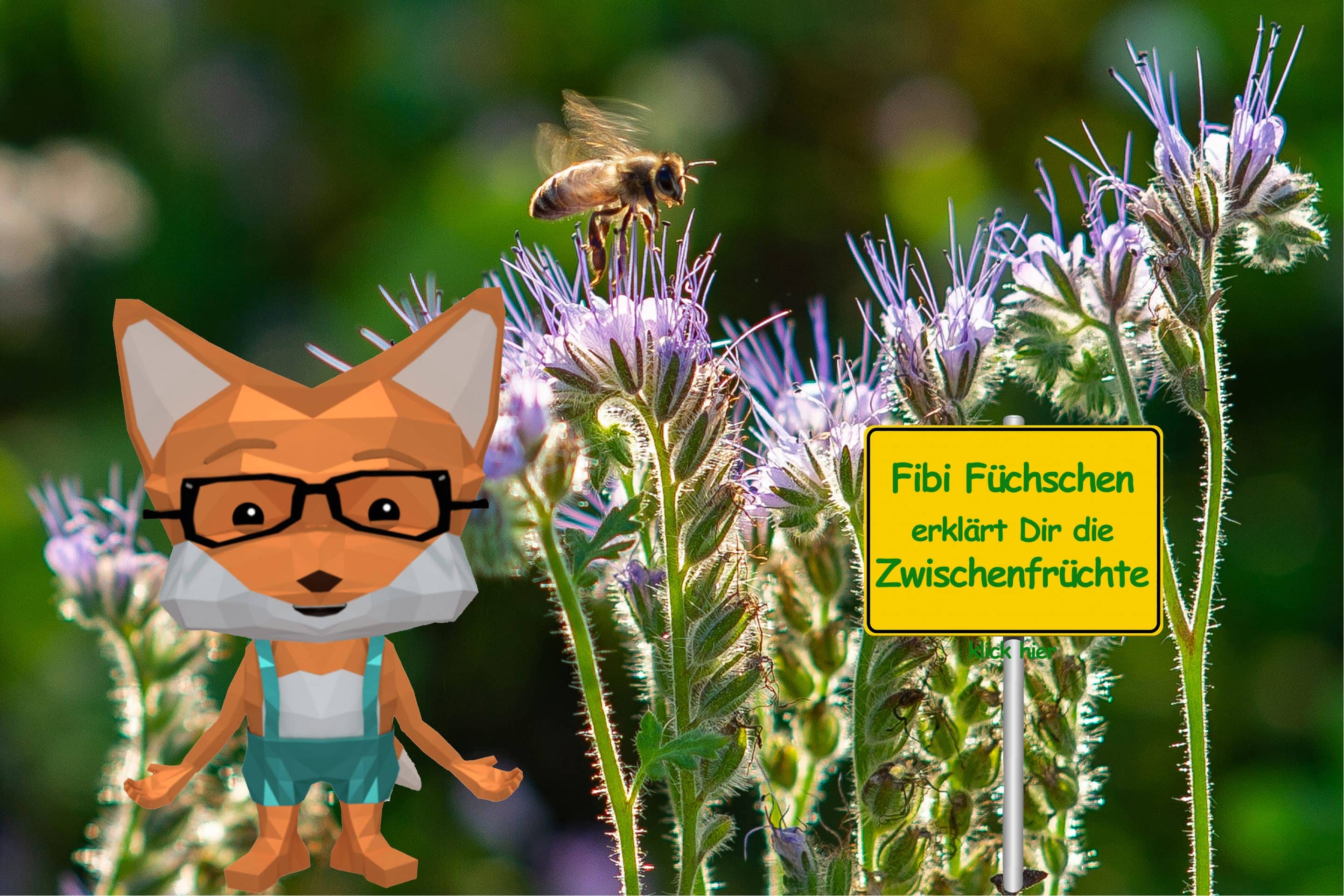 Fibi_Ortsschild_zwischenfrüchte streuobstwiese