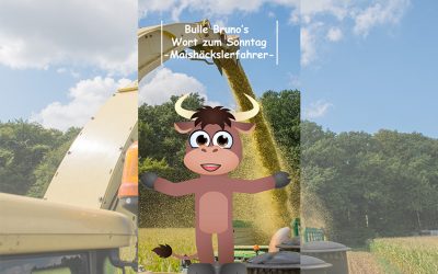 Bulle Bruno über die Maishäckslerfahrer