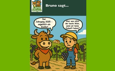 Bruno sagt…