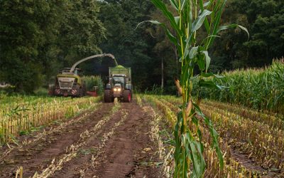 Ohne Teamarbeit kein Takt: Landwirtschaft ist Zusammenarbeit